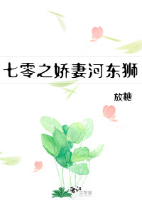 七零年代河东狮